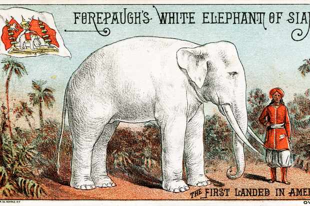 HS2: The Creation of Our Biggest National White Elephant Continues ...